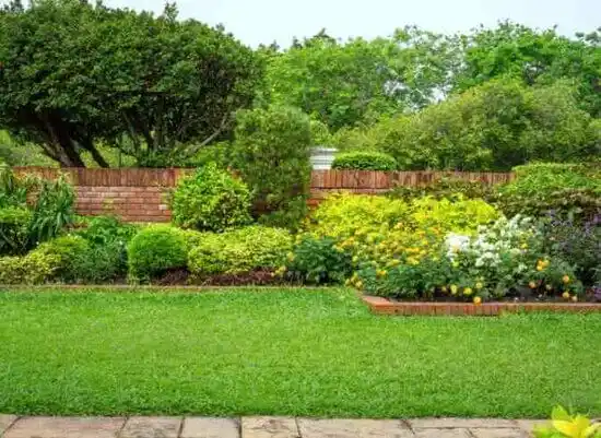 landscaping services Mount Pleasant